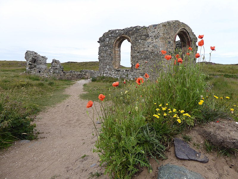 What is St Dwynwen's Day?