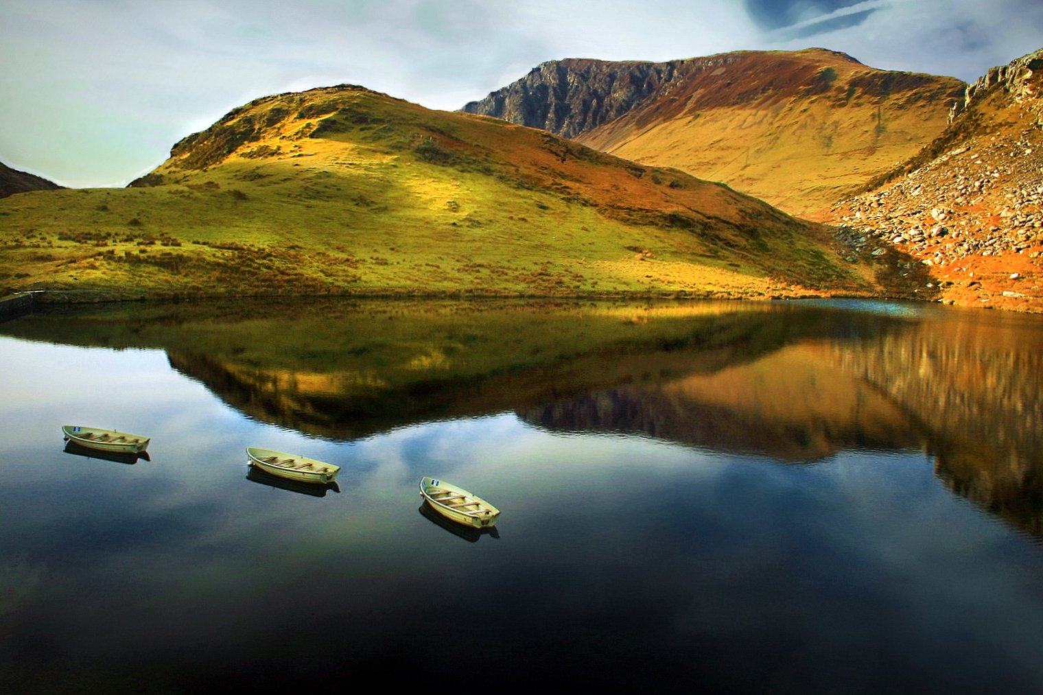 The Floating Island Of Llyn Y Dywarchen