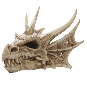 Decorative Skeletal Dragon Skull