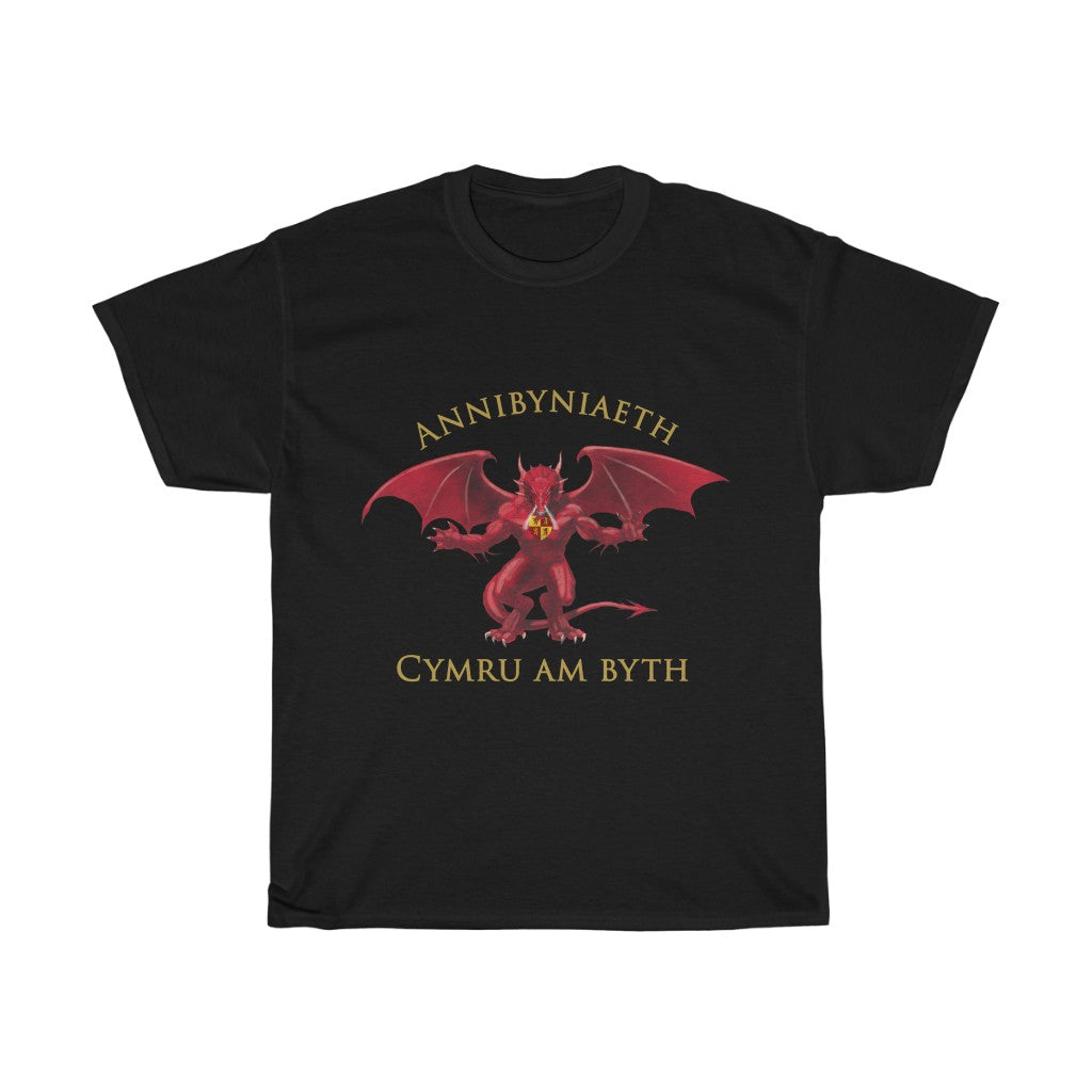 Annibyniaeth Cymru Am Byth Unisex T-shirt