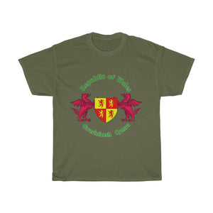 Republic of Wales Unisex T-shirt