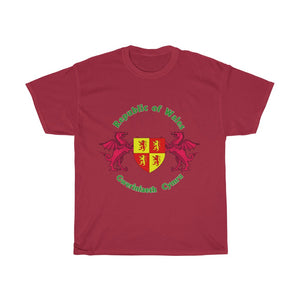 Republic of Wales Unisex T-shirt