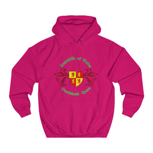 Republic of Wales Unisex Hoodie