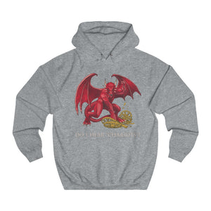 The Welsh Dragon Unisex Hoodies cymraeg