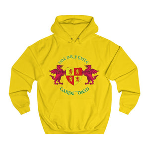 Dal ar y Cyfle Carpe Diem Unisex Hoodie
