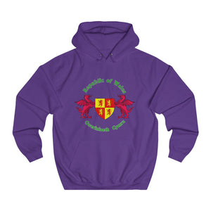 Republic of Wales Unisex Hoodie