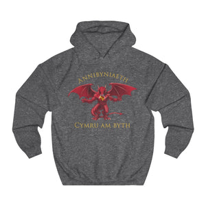 Annibyniaeth Cymru Am Byth Unisex Hoodie