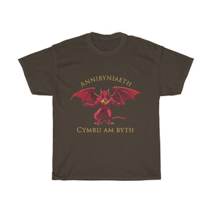 Annibyniaeth Cymru Am Byth Unisex T-shirt