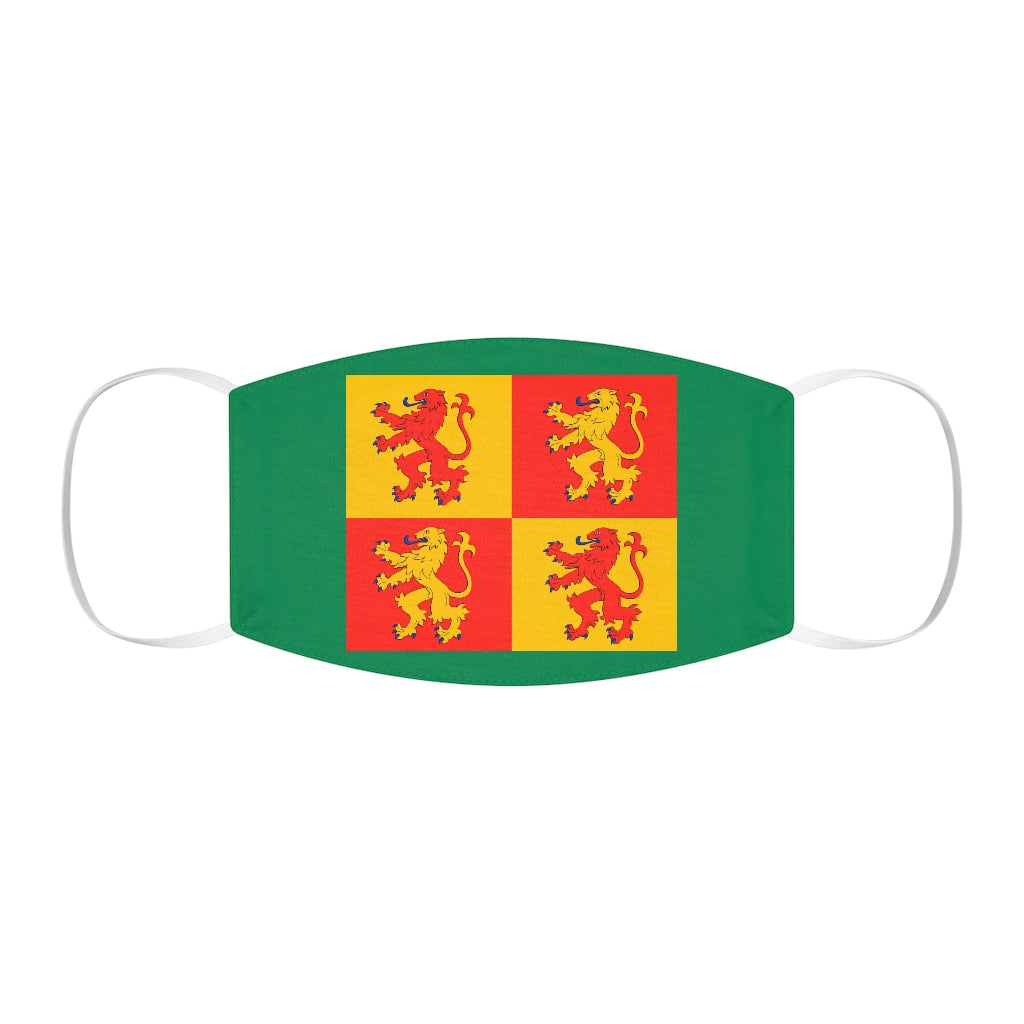Owain Glyndwr Flag Sq Reusable Face Cover Snug-Fit Green