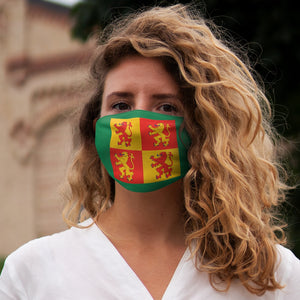 Owain Glyndwr Flag Sq Reusable Face Cover Snug-Fit Green