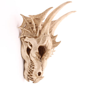 Fantasy Dragon Skull