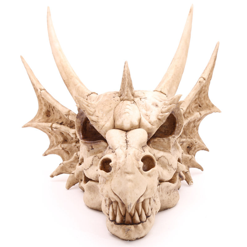 Fantasy Dragon Skull