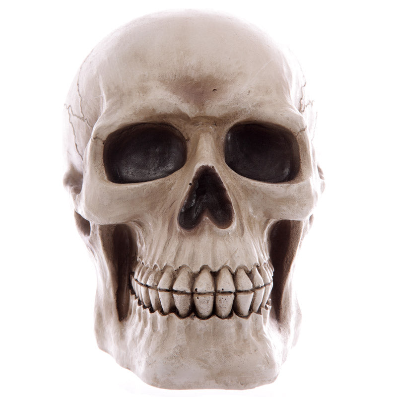 Skull Money Box