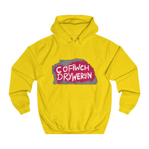 Cofiwch Dryweryn Capel Celyn Unisex Cymraeg Hoodies