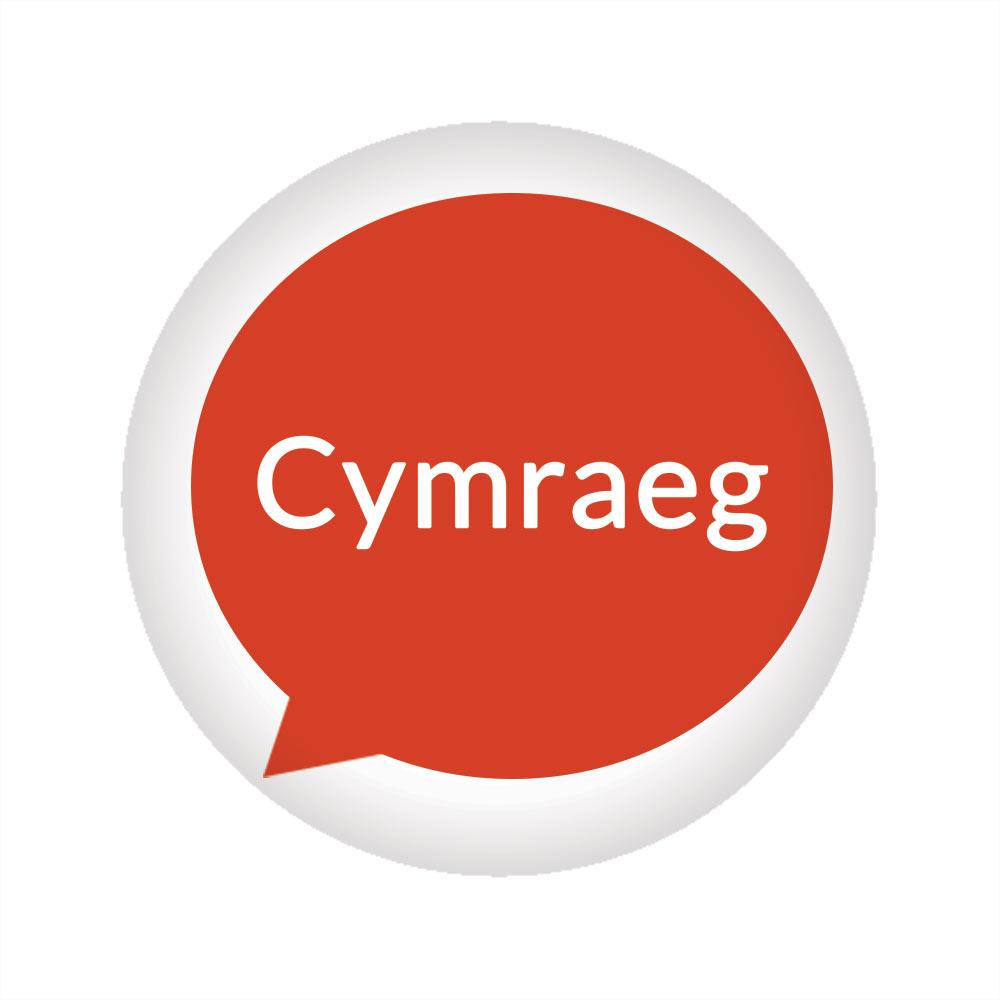Cymraeg pin