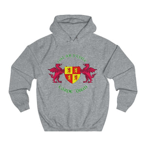 Dal ar y Cyfle Carpe Diem Unisex Hoodie