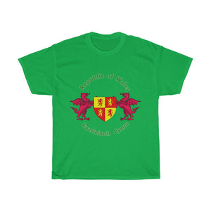 Republic of Wales Unisex T-shirt