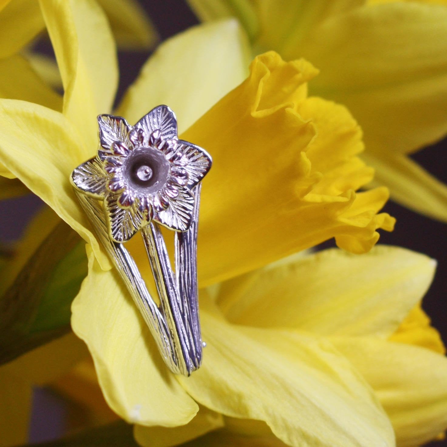 Cymraeg Welsh Daffodil Sterling Silver pin brooch