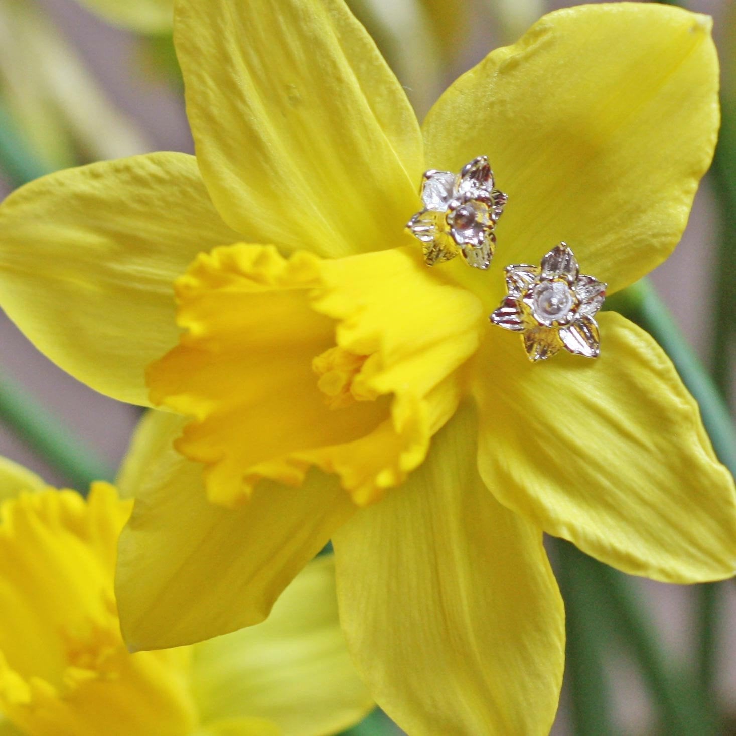 Cymraeg Welsh Daffodil Sterling Silver Earrings