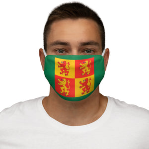 Owain Glyndwr Flag Sq Reusable Face Cover Snug-Fit Green