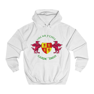 Dal ar y Cyfle Carpe Diem Unisex Hoodie