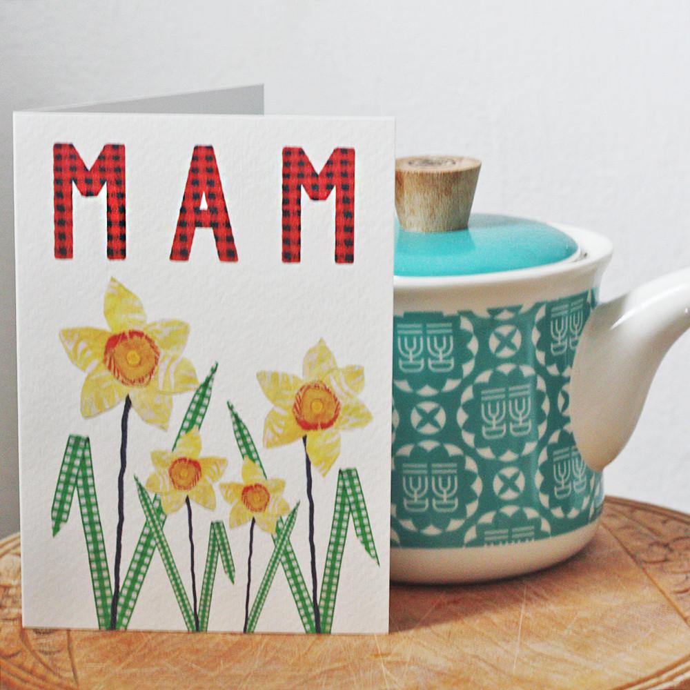 mam card